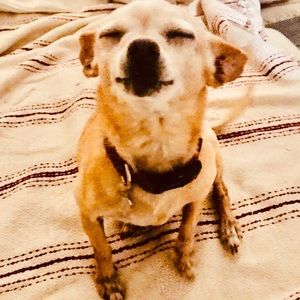 Meet your Posher, Tisha